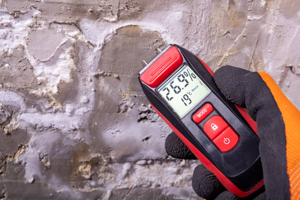 Best Post-Flood Mold Remediation in Lyndhurst, OH