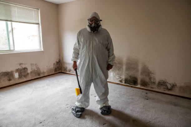 Best Industrial Mold Remediation in Lyndhurst, OH